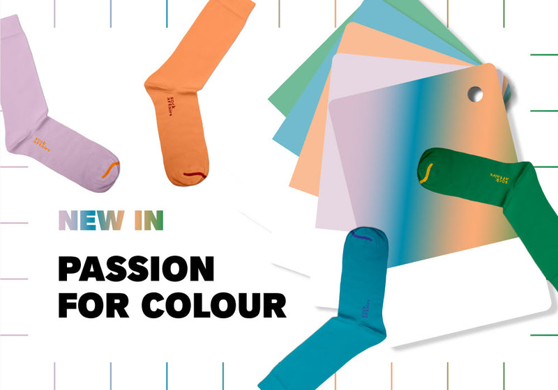 Colour Connisours: The Passion for Colour Collection.