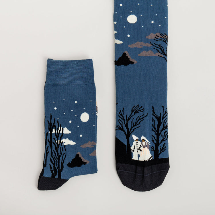 Carnival Evening Socks