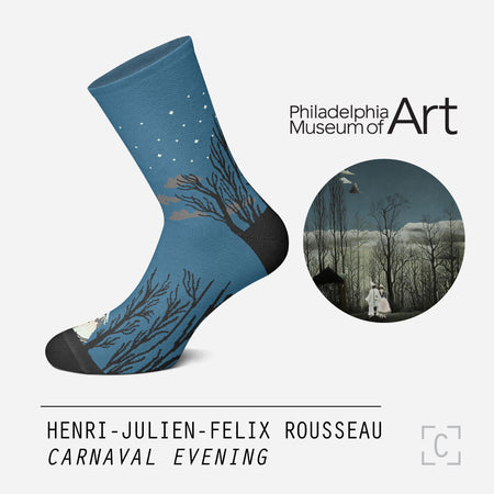 Carnival Evening Socks