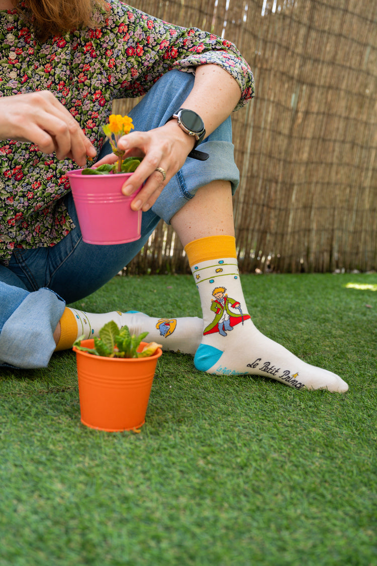 Le Petit Prince Socks