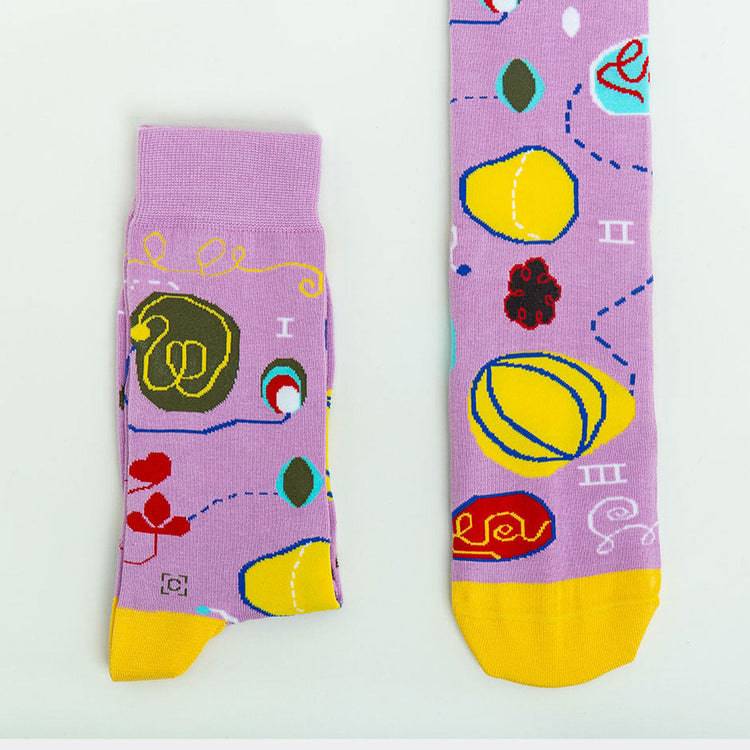 No. 7, Adulthood Socks