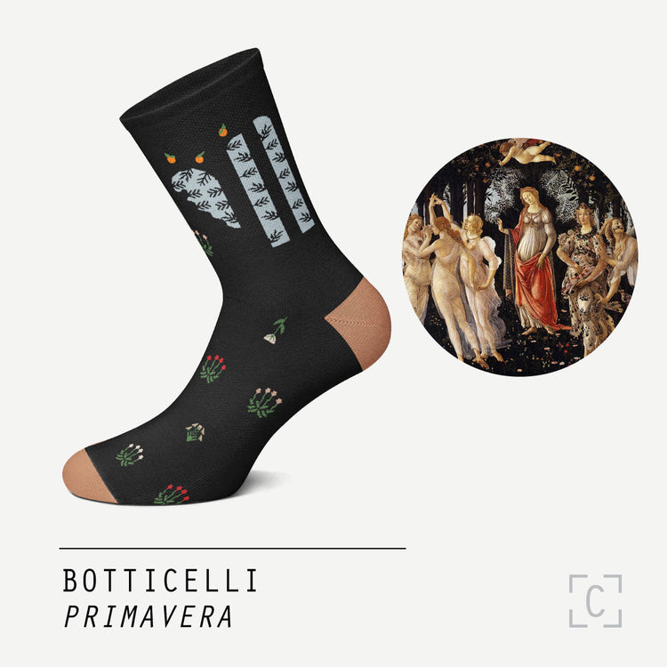 Primavera Socks