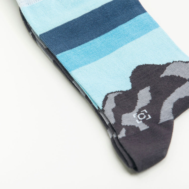 Wanderer Socks