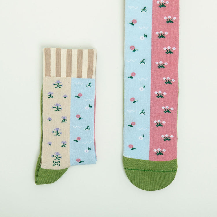 Birth of Venus Socks